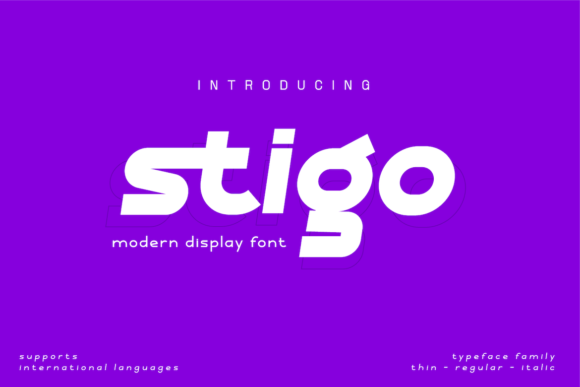 Stigo: A Real-World Designer Review for Branding